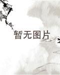 超越维度的主宰者