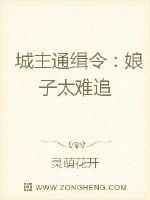 城主通缉令：娘子太难追