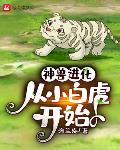 神兽进化,从小白虎开始
