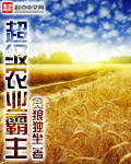 木叶之光