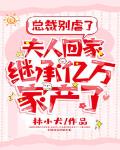 总裁别虐了,夫人回家继承亿万家产了！